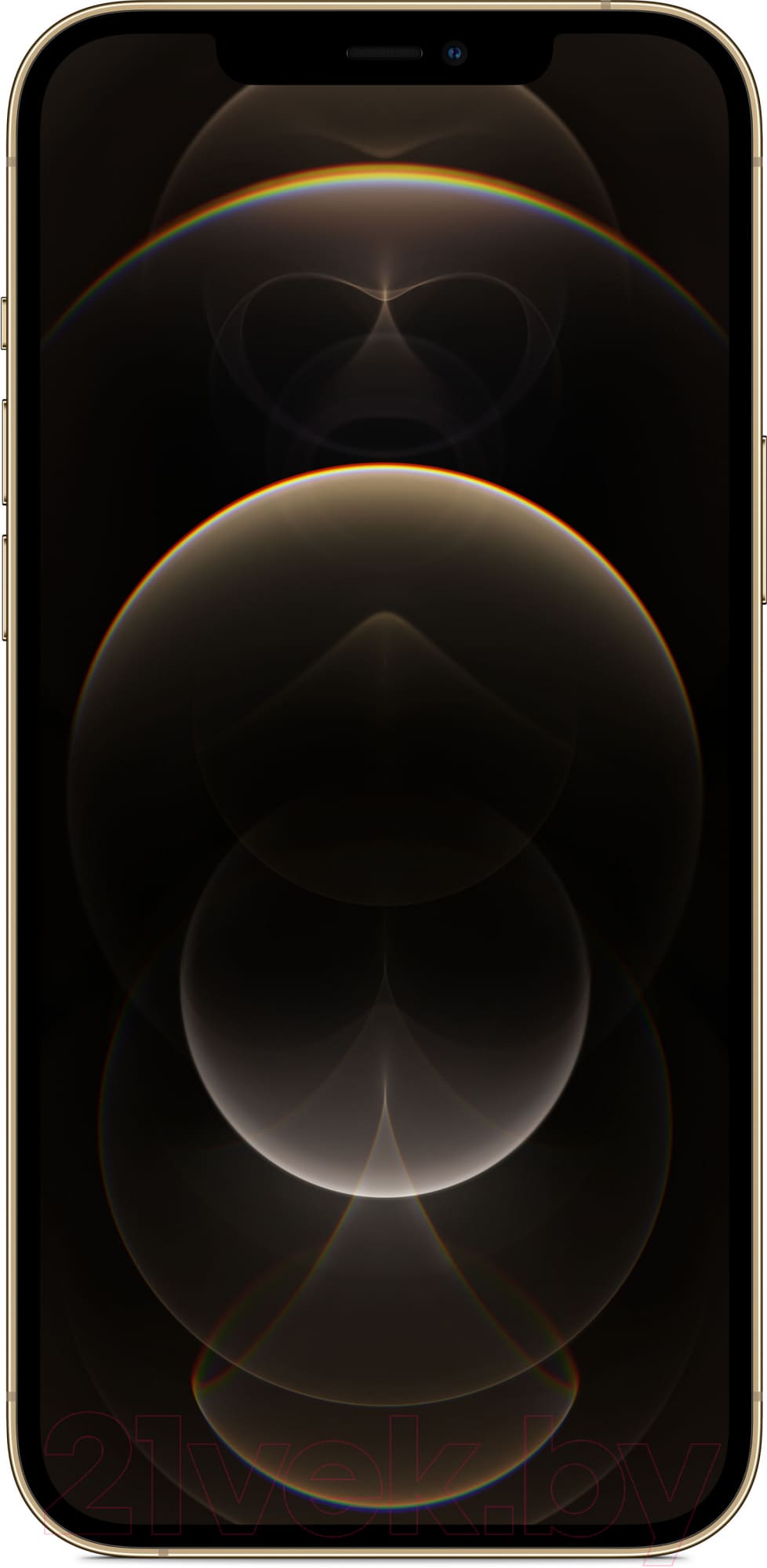 q13